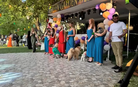 Engelli Hayvanlar İçin Defile