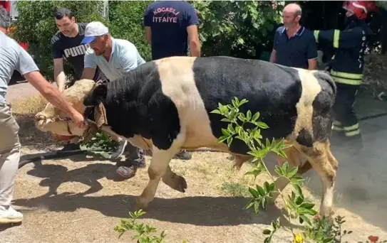 Başiskele'de Sigara İzmaridi Yangın Çıkardı