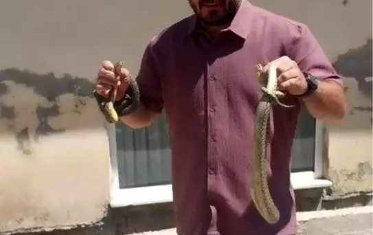 Bilecik'te 'Yılan Avcısı' Fenomeni
