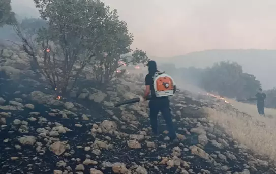 Mardin'de Kırsal Yangın Kontrol Altına Alındı