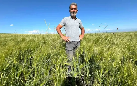 Kars'ta Umut Veren 'Amiral Arpa' Çeşidi