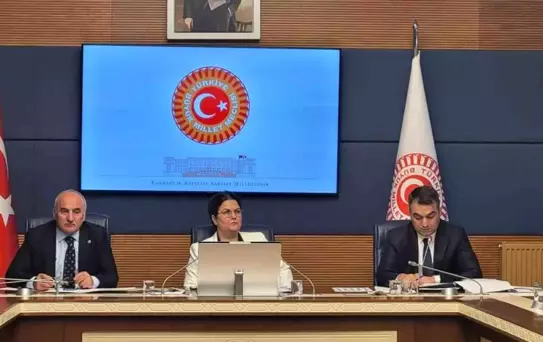 İnsan Hakları Komisyonu Alt Komisyonları Belirlendi