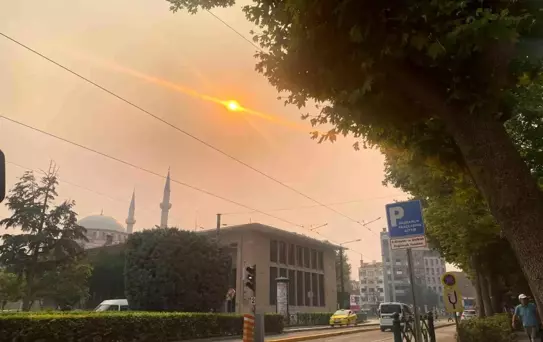Sakarya'daki Yangın Eskişehir'i Sarmaladı