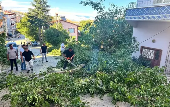 Malatya'da Fırtına Meyve Ağaçlarını Devrildi