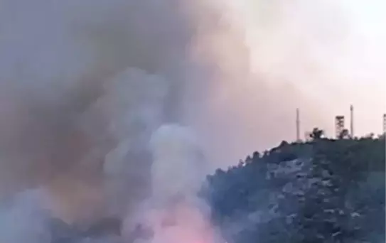 Gazipaşa'da Orman Yangını: Kule Personeli Zor Anlar Yaşadı