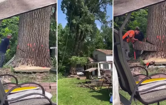 Manzarayı kapattığı gerekçesiyle asırlık ağacı kesen aile, evsiz kaldı