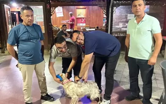 Havran'da Kuduz Aşısı Uygulaması