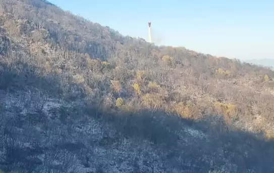 Sultanhisar'da Orman Yangını Kontrol Altına Alındı