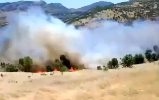 Adıyaman'da Orman Yangını Korkuttu