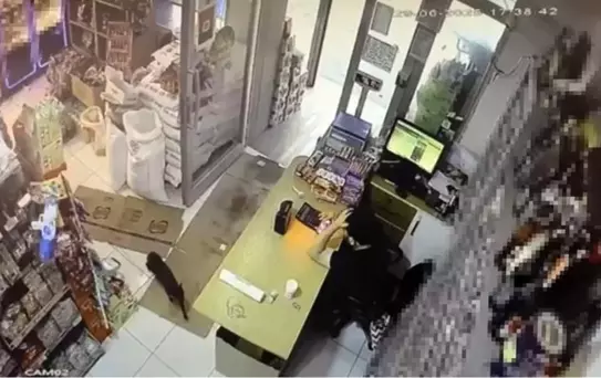 Markette Kediyle Şaşırtan An