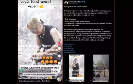 Sokak Kedilerine Keyfi İğneleme Tepki Çekti