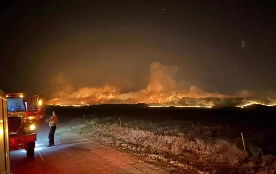 California'da Dev Yangın: 52 Bin Dönüm Küle Döndü