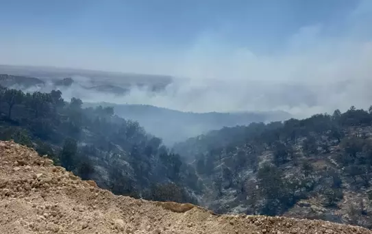 Gabar Dağı'nda Orman Yangını