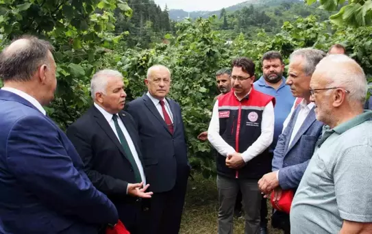 Vali Yıldırım: Fındıkçılık Ciddiye Alınmalı