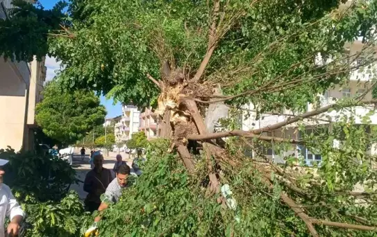 Adıyaman'da Fırtına Hayatı Olumsuz Etkiledi
