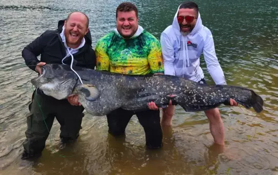 Borçka'da Amatör Balıkçılar 100 Kilo Yayın Balığı Yakaladı