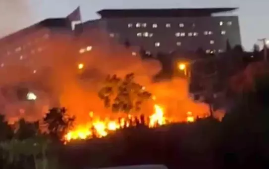 Darıca Millet Bahçesi'nde Yangın