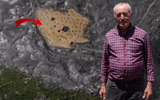  Ödemiş'te şaşırtan görüntü! Bir tek Ahmet Türk'ün arsası yanmadı