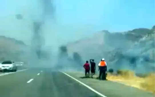 Siirt'te Ağaçlık Alanda Yangın