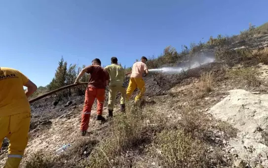 İskenderun'daki Orman Yangını Kontrol Altında