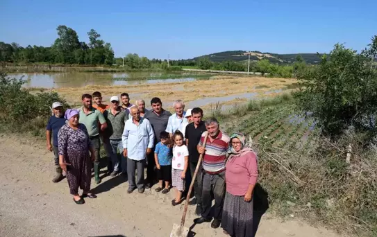 Bafra'da Su Taşkını: Üreticiler Mağdur
