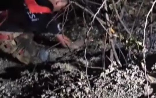 Hatay'da Orman Yangını Kontrol Altında
