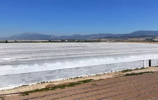 Denizli'de Serada Zehirlenme Vakası