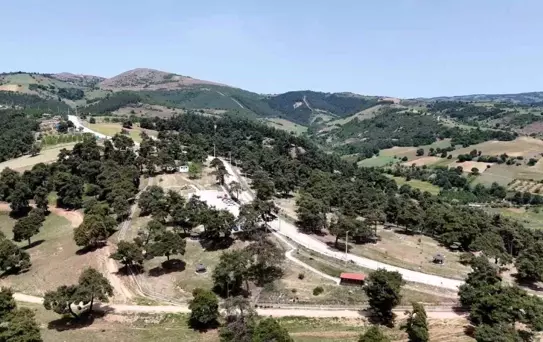 Kozdere Çamlığı Haşerelere Karşı İlaçlandı