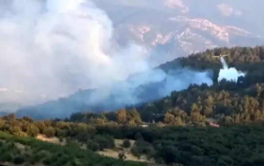 Çanakkale'de Orman Yangını