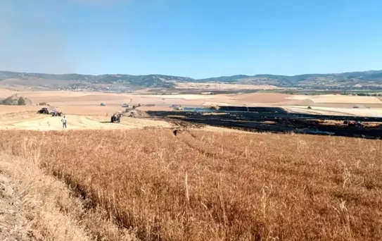 Boğazkale'de Yangın: 3 Bin Dekar Buğday Zarar Gördü