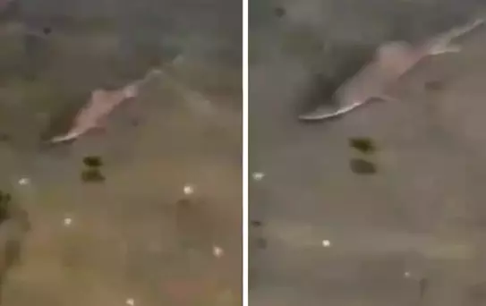 Burası Okyanus değil İstanbul'un göbeği! Denize bakanlar gözlerine inanamadı