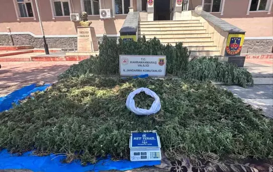 Kahramanmaraş'ta Uyuşturucu Operasyonu