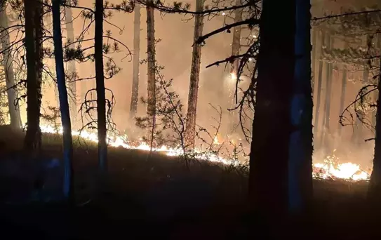 Ilgaz'da Orman Yangınına Müdahale Devam Ediyor