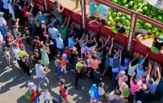 Birecik'te Bedava Karpuz İzdihamı