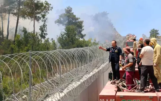 Hatay'daki Orman Yangınlarına AFAD Müdahale Ediyor
