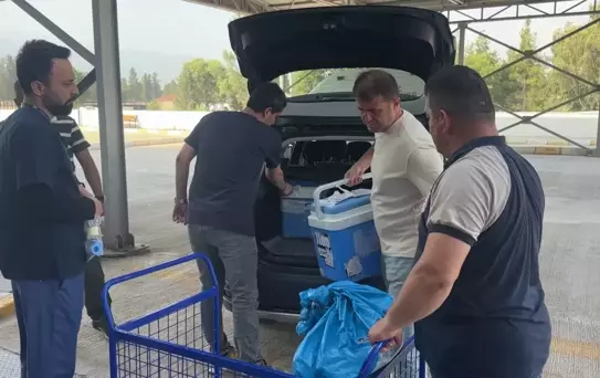 Trafik Kazasında Beyin Ölümü: Organları 2 Hastaya Umut Oldu