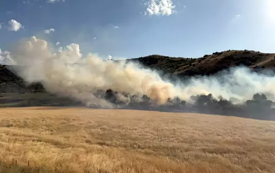 Bitlis'te Buğday Tarlasında Yangın