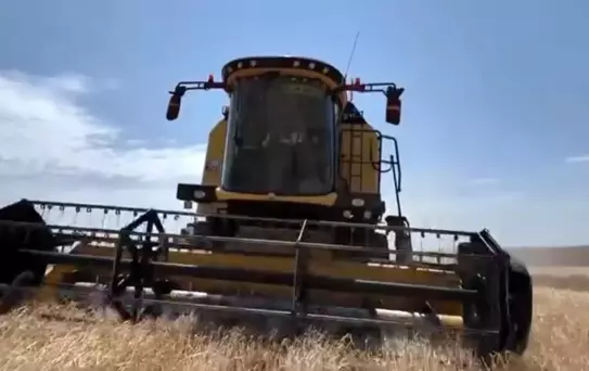 Kars'ta Arpa Hasadı Başladı