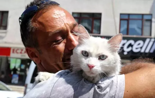 Kayıp Kedi Pars Bulundu