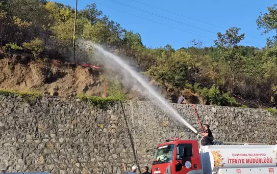 Zonguldak'ta Yangın: Kurumuş Ağaç Elektrik Tellerini Kırdı