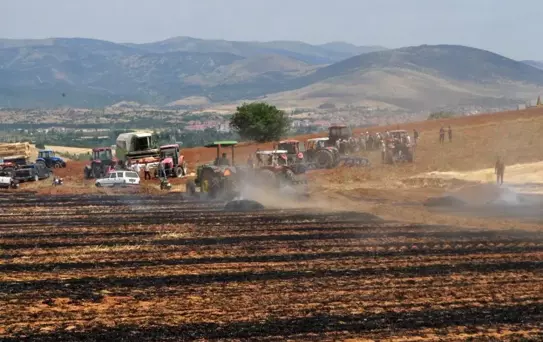 Isparta'da Yangın: 100 Dönümlük Tarım Arazisi Küle Döndü