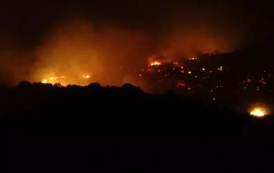 Çanakkale'deki Yangında Tuzla Köyü Zarar Gördü