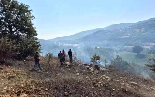 Balıkesir'de Arazi ve Anız Yangını Kontrol Altına Alındı