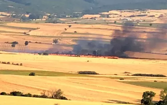 Malkara'da Anız Yangını: 200 Dönüm Tarla Küle Döndü