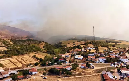 Şarköy'de Orman Yangını