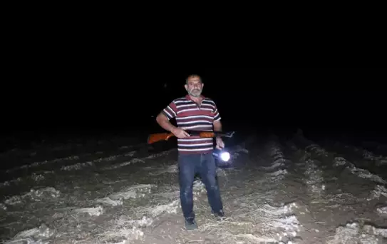 Çiftçilere Hırsız Nöbeti