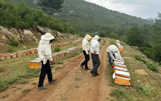 Adıyaman'da 2025 Bal Fiyatları Açıklandı