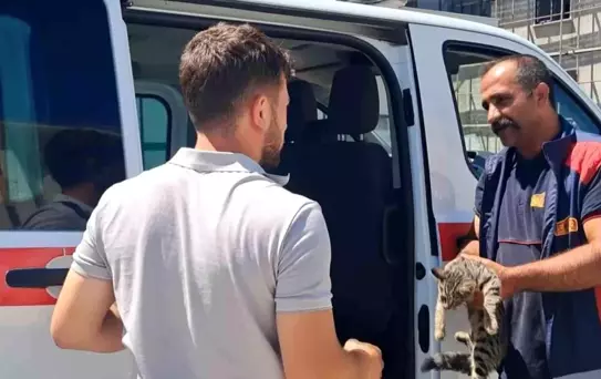 Sıkışan Kedi İtfaiye ile Kurtarıldı
