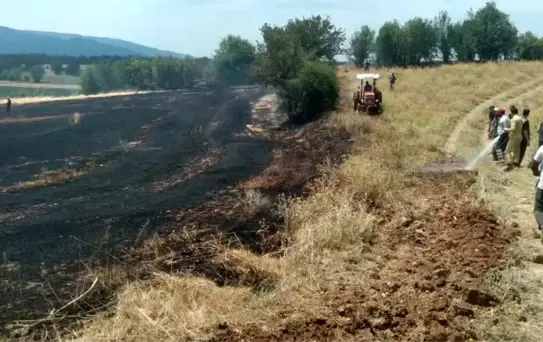 Kastamonu'da Tarım Arazisinde Yangın