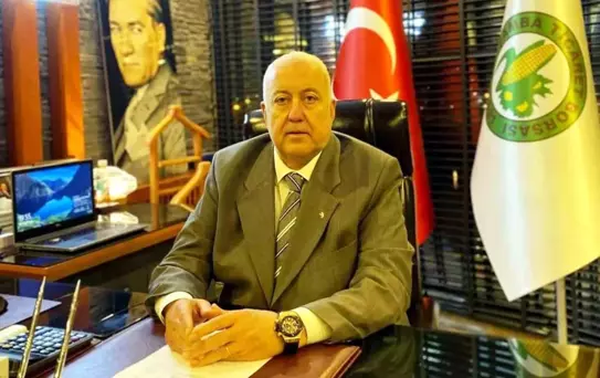Samsun'un 2025 Fındık Rekolte Tahmini Belirlendi
